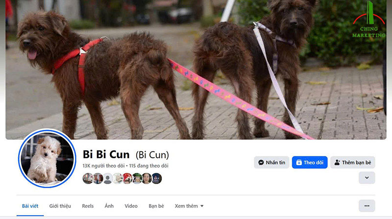 Câu hỏi thường gặp mua like fanpage